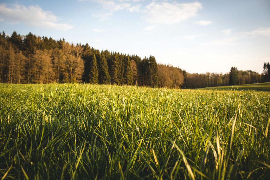 100 GOOD PLOTS OF LAND AVAILABLE FOR SALE WITH C OF O